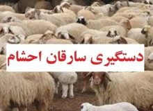دستگیری سارقین احشام در شهرستان چرام